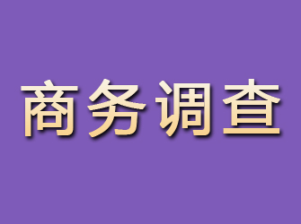 雨湖商务调查